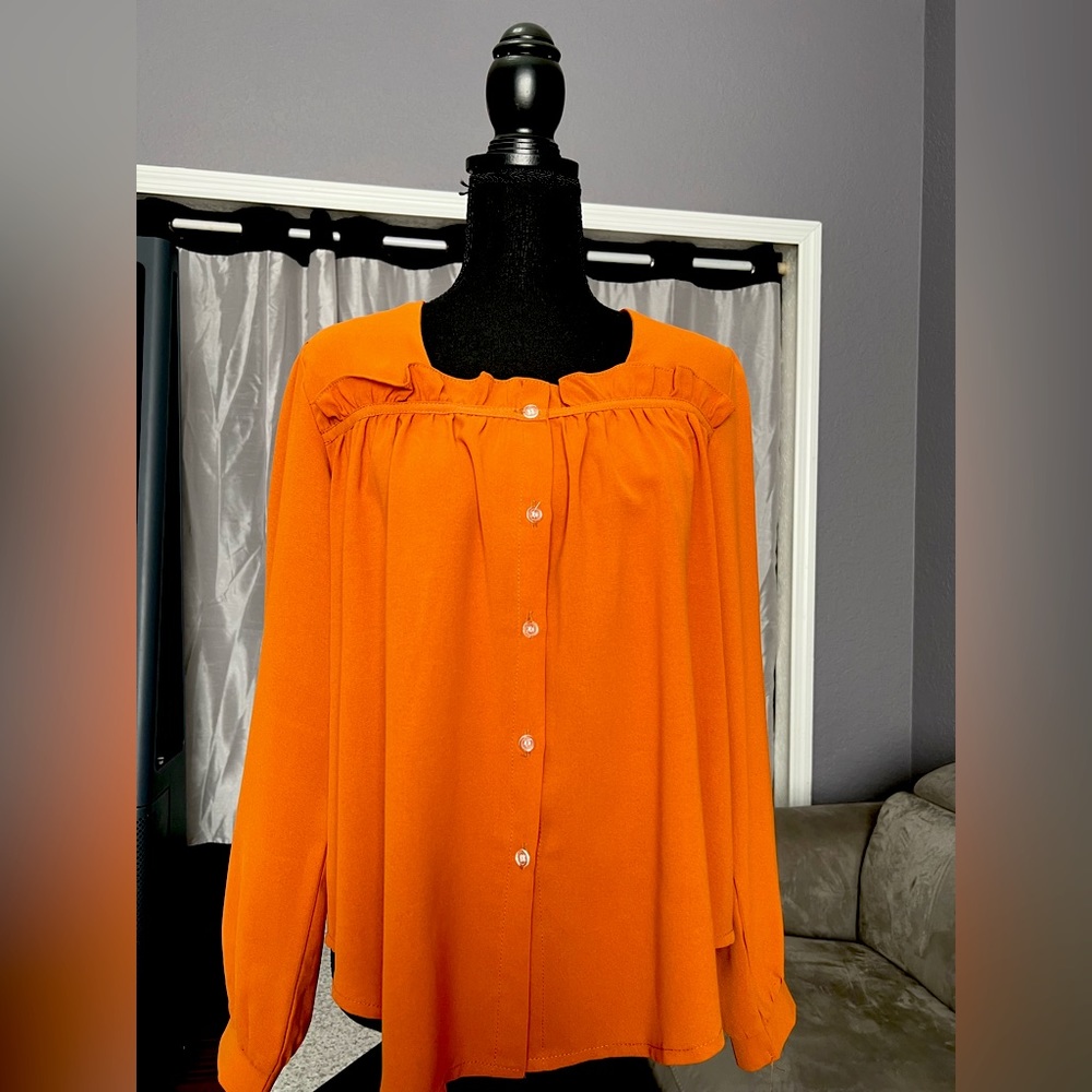 Burnt Orange Long Sleeve Blouse